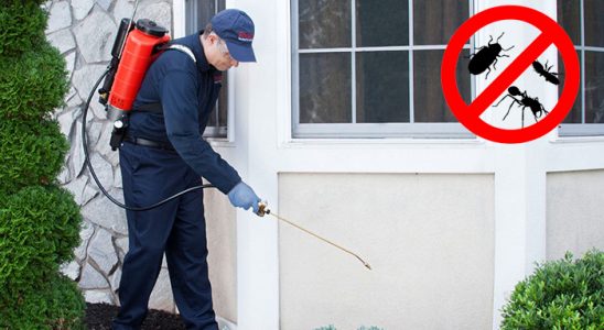 Hanak Haşere İlaçlama böcek ilaçlama ve haşere kontrolü — ilaclama-tr.com